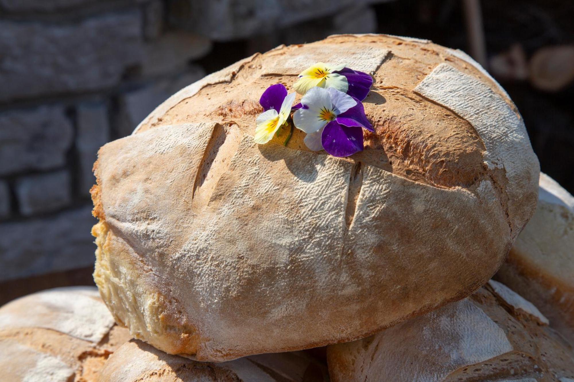 Agriturismo Terra E Sapori Campodipietra Экстерьер фото