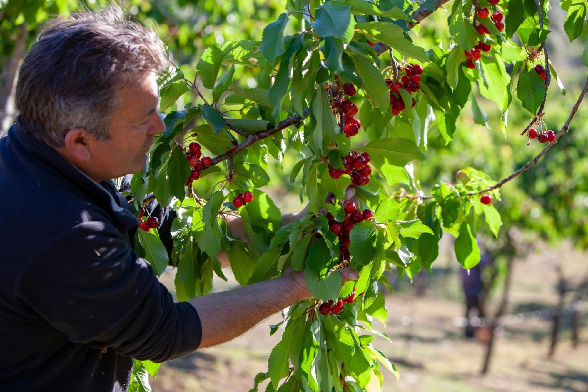 Agriturismo Terra E Sapori Campodipietra Экстерьер фото