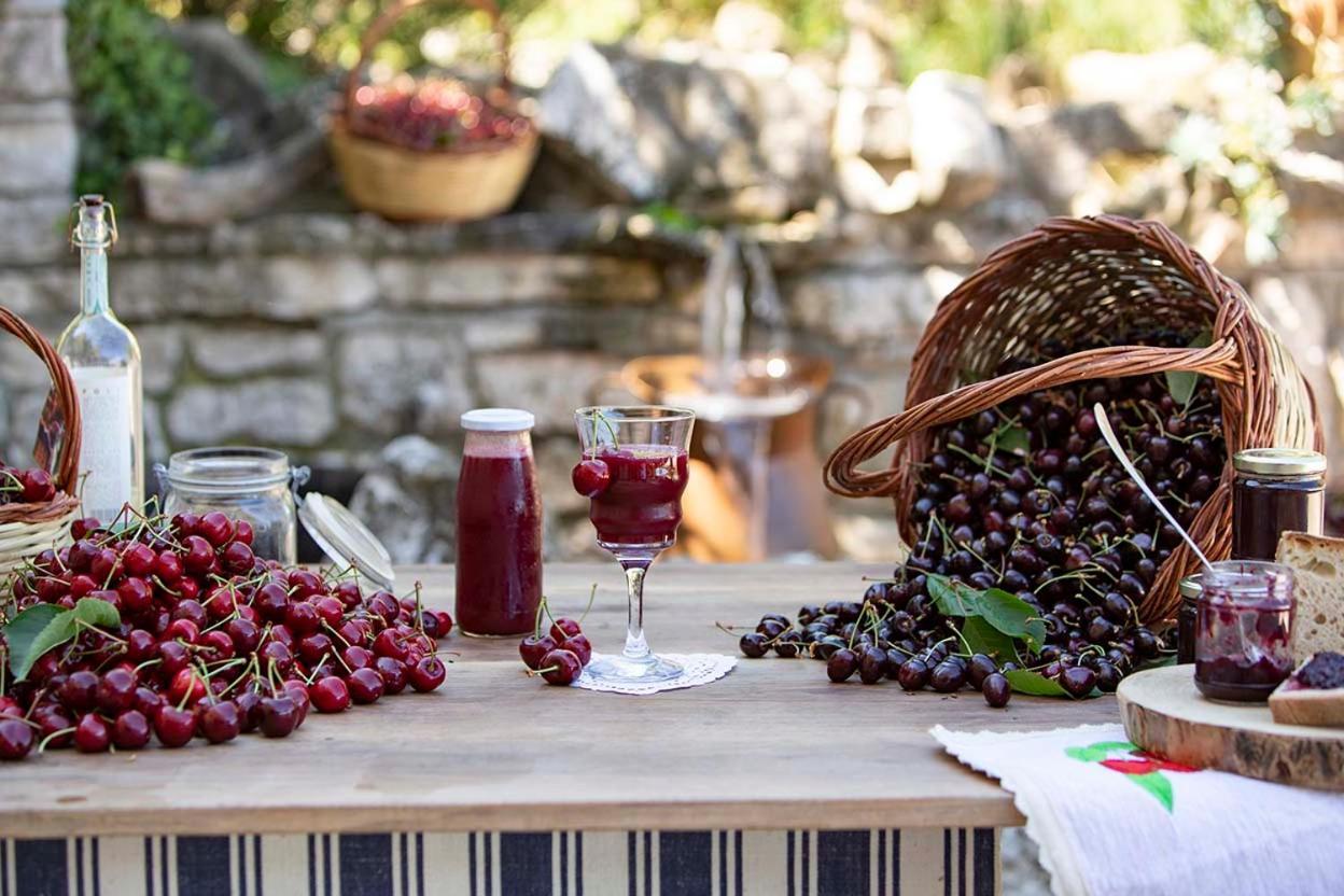 Agriturismo Terra E Sapori Campodipietra Экстерьер фото